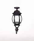 Потолочный светильник уличный Oasis Light 83405LA Bl AMERICA L