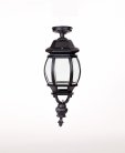 Потолочный светильник уличный Oasis Light 83405LA Bl AMERICA L