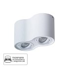 Светильник Потолочный Arte Lamp A5645PL-2WH FALCON