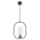 Подвесной светильник Arte Lamp A7004SP-1BK Celaeno