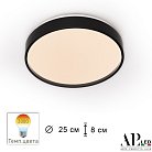 Потолочный светильник APL LED 3315.XM302-1-267/12W/3K Black TD Toscana
