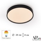 Потолочный светильник APL LED 3315.XM302-1-267/12W/3K Black TD Toscana