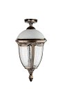 Потолочный светильник уличный Oasis Light 89105LA Bl мат/тр St.LOUIS L
