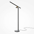 Напольный светильник (торшер) Maytoni MOD363FL-L14B3K Empathy