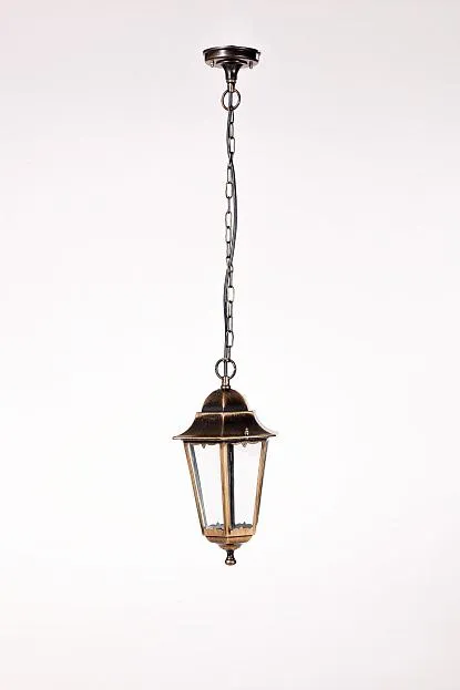 Уличный светильник подвесной Oasis Light 79805M Gb