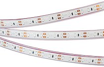 Светодиодная лента Arlight 033901 A120 PFS