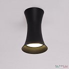 Светильник Arte Perfetto Luce APL2231411CN SBK