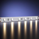Светодиодная лента Led Strip Maytoni 201024
