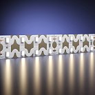 Светодиодная лента Led Strip Maytoni 201226 Гибкая светодиодная лента