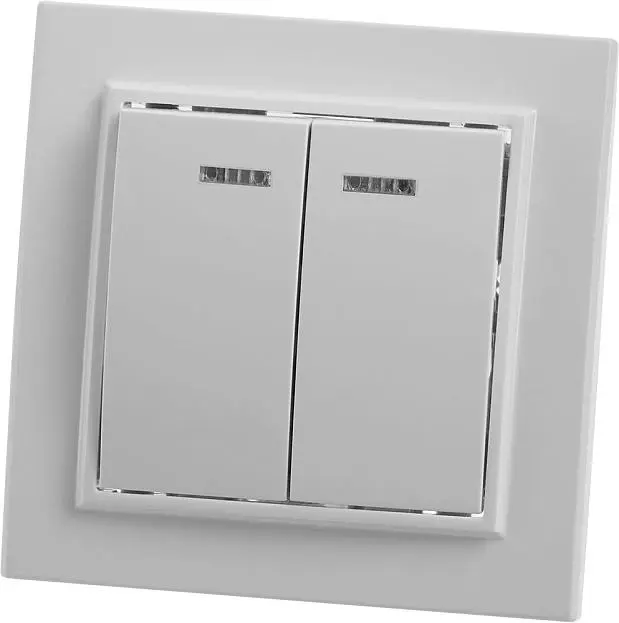 Выключатель 2-клавишный с индикатором STEKKER 39042, PSW10-9002-01, 250В, 10А Эрна, белый Выключатель 2-клавишный с индикатором STEKKER 39042, PSW10-9002-01, 250В, 10А Эрна, белый