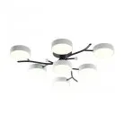 Потолочная люстра Arte Milano 256606/6+1 Bk/Wh Ferrara