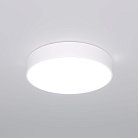 Потолочный светильник Eurosvet 90319/1 белый a063077 Entire