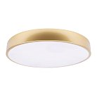 Потолочный светильник Loft IT 10228/A Flims