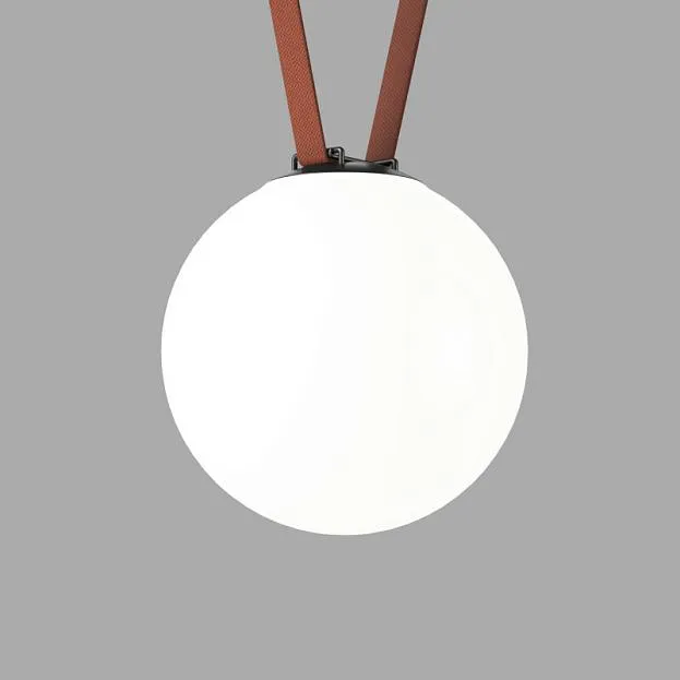 Cветильник для трека-ремня Denkirs DK5554-BK BELTY ORB