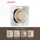 Диммер, 500W Arte Milano 202.48-1.shampan am