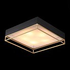 Потолочный светильник ST Luce SL1127.422.05 Chodo