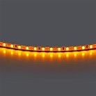Лента цветного свечения 24V, янтарный Lightstar 420510