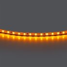 Лента цветного свечения 24V, янтарный Lightstar 420510