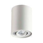 Потолочный накладной светильник Odeon Light 3564/1C PILLARON