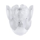 Настенный светильник Arte Lamp A4078AP-2CC KAPRI