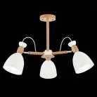 Люстра на штанге EVOLUCE SLE103802-03 BALCAMO