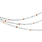 Светодиодная лента Arlight 040612