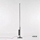 Торшер MAIFRID 4000К ImperiumLoft 227696-23 maifrid01