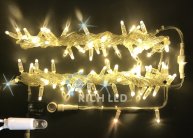Гирлянда Rich LED RL-S10CF-220V-CT/WW