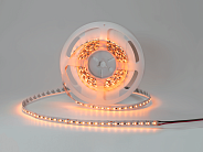 Светодиодная лента 17.3 Вт Dim to Warm свечение SWG DSG2168-24-DTW-33 