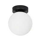 Настенно-потолочный светильник Arte Lamp A2224PL-1BK ALCOR