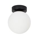 Настенно-потолочный светильник Arte Lamp A2224PL-1BK ALCOR