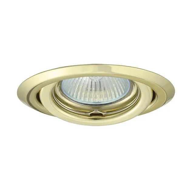 Светильник точечный золотой ARGUS CT-2115-YG Kanlux 335