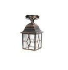 Потолочный светильник уличный Oasis Light 64305A Gb TALLIN 1L