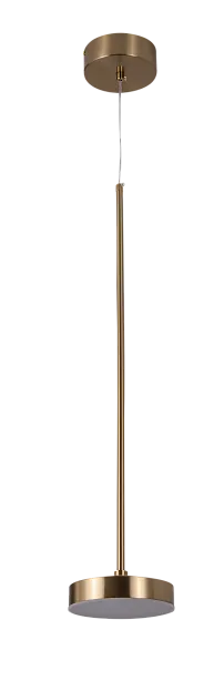 Потолочный светильник Zortes ZRS.1055.01 LORY