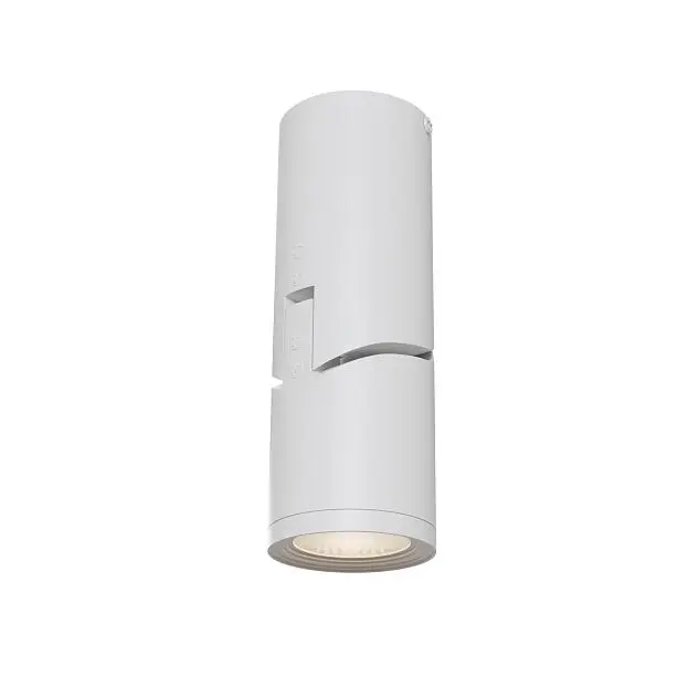Потолочный светильник Maytoni C019CW-01W Tube
