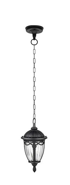 Уличный светильник подвесной Oasis Light 86305 Bl FES