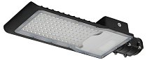 Уличный консольный светильник ЭРА SPP-502-0-50K-100 SPP-5