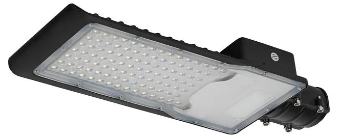 Уличный консольный светильник ЭРА SPP-502-0-50K-100 SPP-5