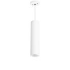 Подвесной светильник Lightstar RP496 RULLO HP16