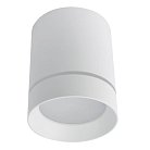 Потолочный светильник Arte Lamp A1949PL-1WH Elle