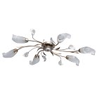 Потолочная люстра MW-LIGHT 242016306 Восторг
