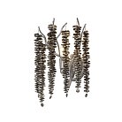 Светильник настенный Vitaluce V28551-9/2A