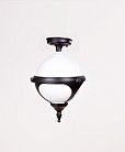 Потолочный светильник уличный Oasis Light 88405A Bl VENA