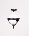 Потолочный светильник уличный Oasis Light 88405A Bl VENA