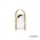 Настольный светильник iLedex OVS0990-CH WH Giggle