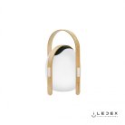 Настольный светильник iLedex OVS0990-CH WH Giggle