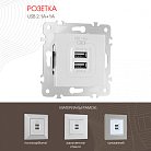 Розетка USB Arte Milano 203.46-1.silver am