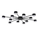 Потолочная люстра Lumion 8344/12C TORINA