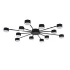 Потолочная люстра Lumion 8344/12C TORINA