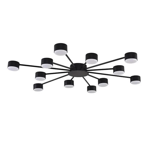 Потолочная люстра Lumion 8344/12C TORINA